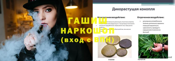 ПСИЛОЦИБИНОВЫЕ ГРИБЫ Магас