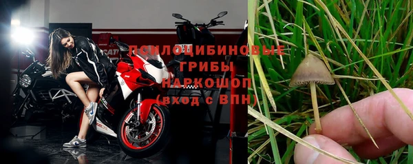 прущая мука Лиски