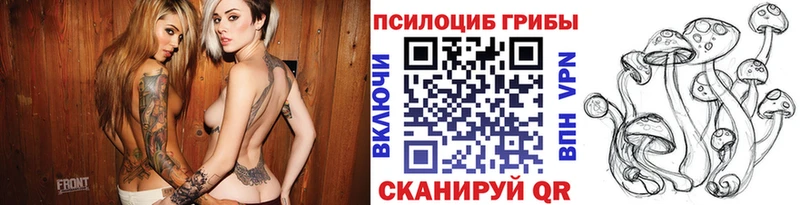 Псилоцибиновые грибы мухоморы  Купить где  Бор 